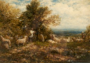 Sheep at Rest; Minding the Flock